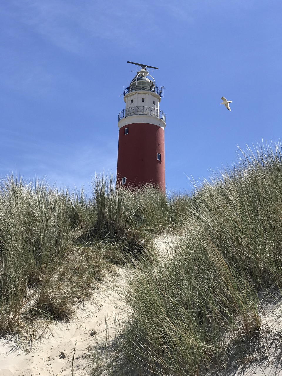 lighthouse north sea holland free photo