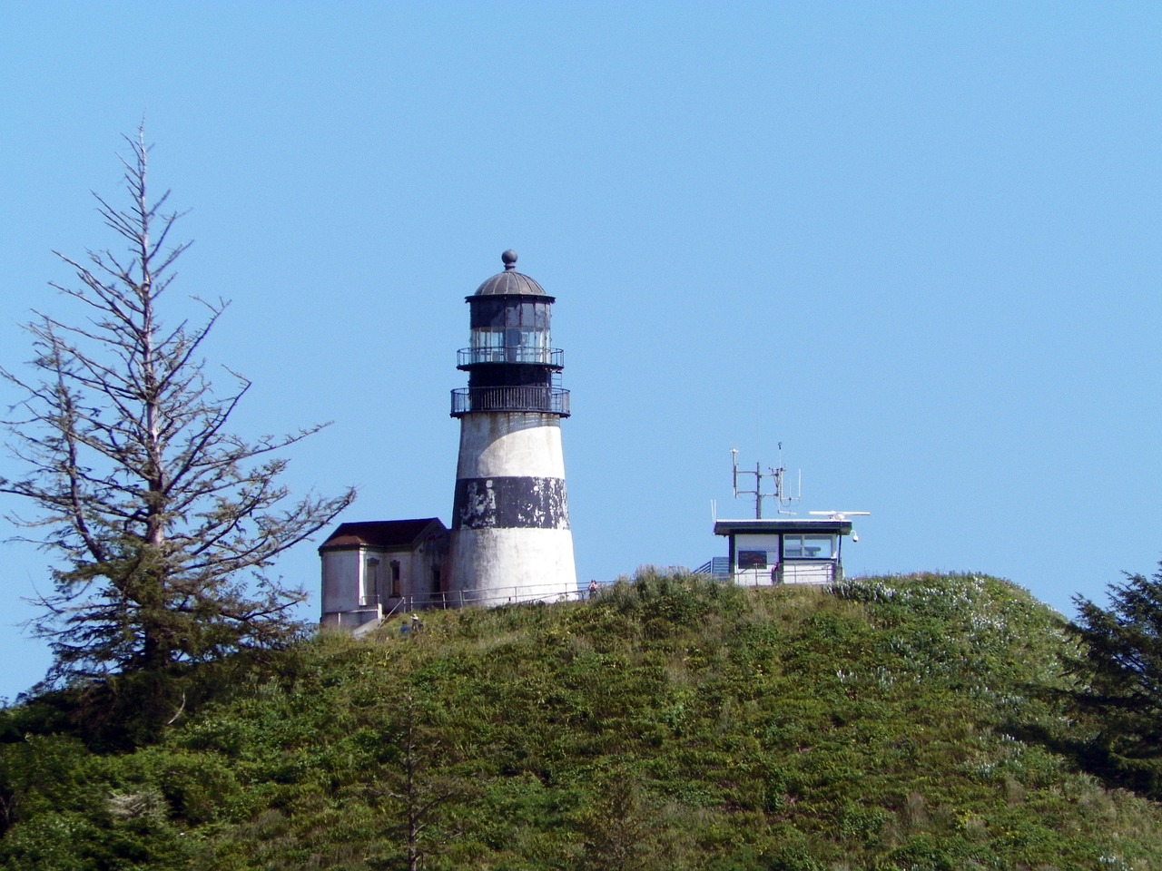 lighthouse green sky free photo