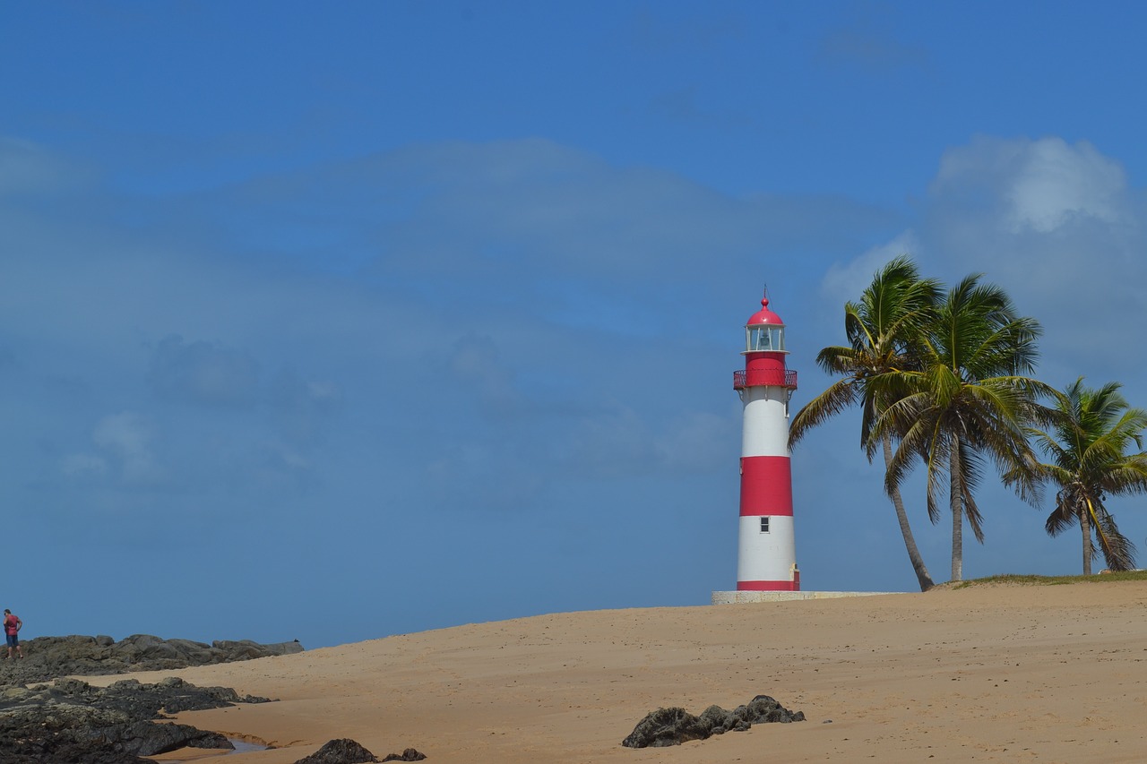 lighthouse beach coconut trees free photo