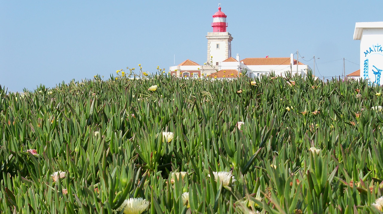 lighthouse cabo de roca portugal free photo
