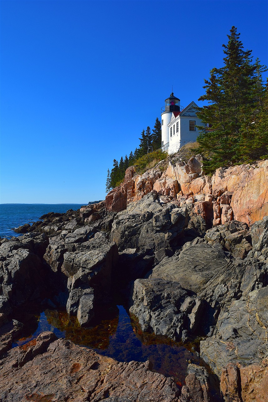 lighthouse rocks trees free photo