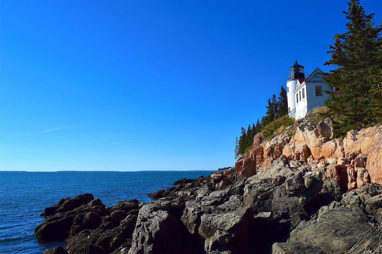 lighthouse rocks trees free photo