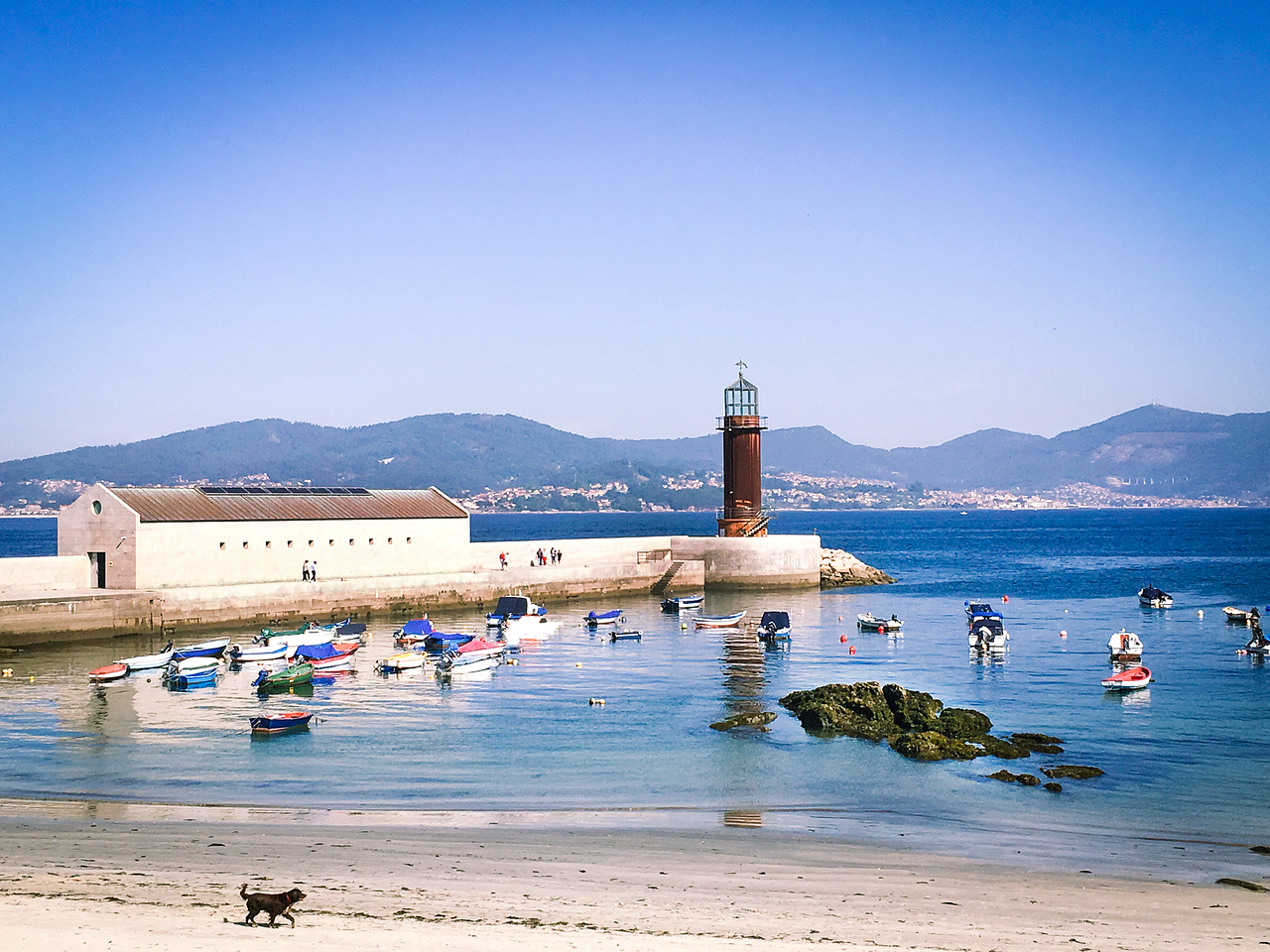 lighthouse light spring free photo