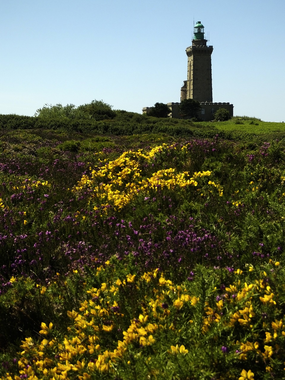 lighthouse  brittany  brittany coast free photo
