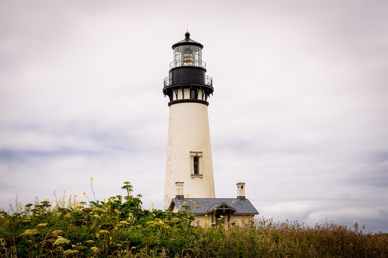 lighthouse  nature  flowers free photo