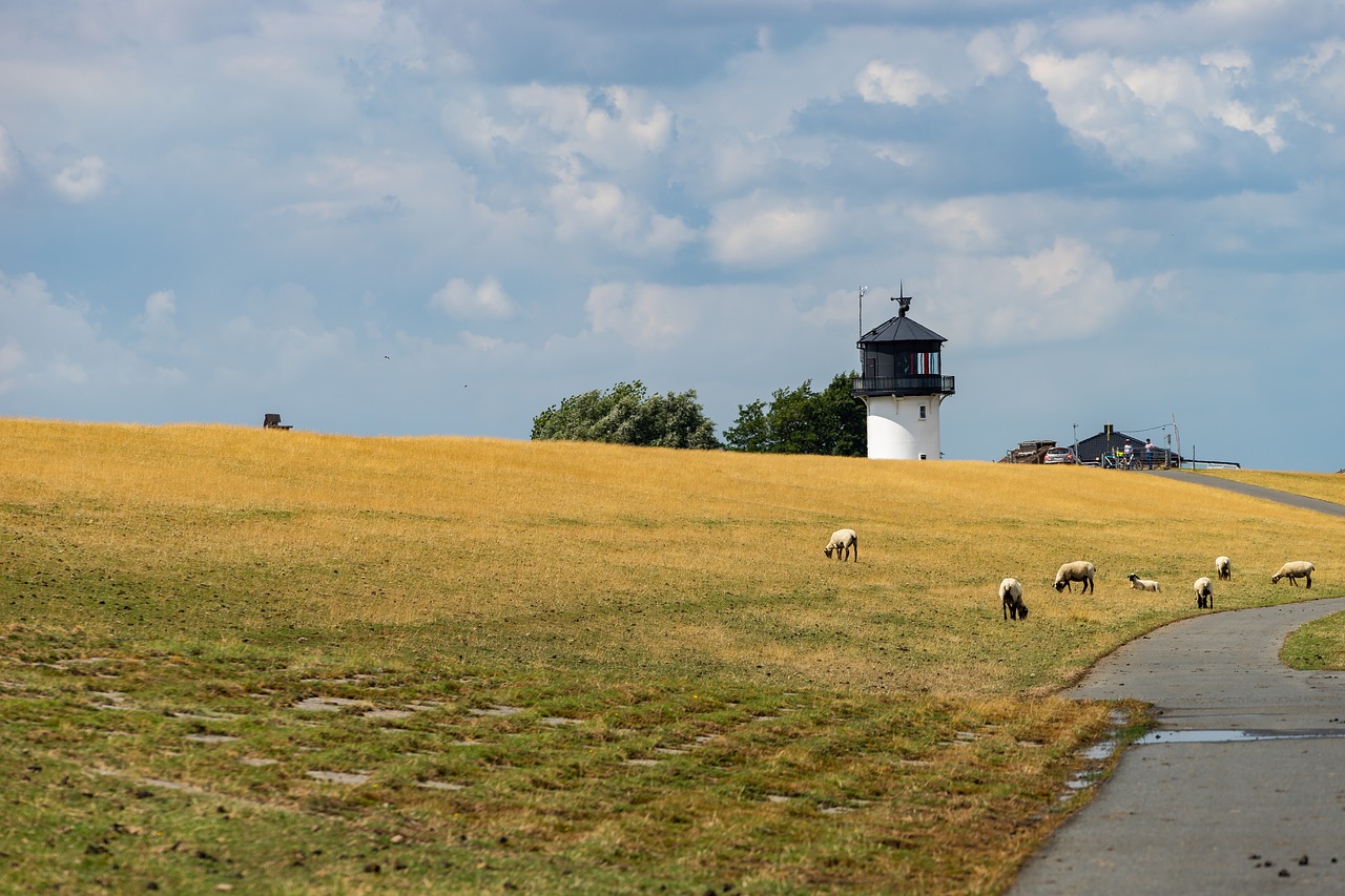 lighthouse  observation tower  north sea free photo