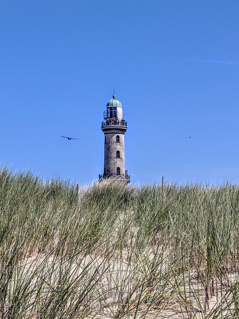 lighthouse  warnemünde  baltic sea free photo