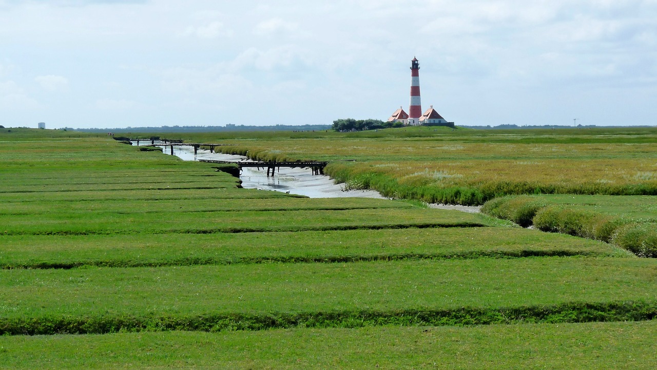 lighthouse north sea salt meadow free photo