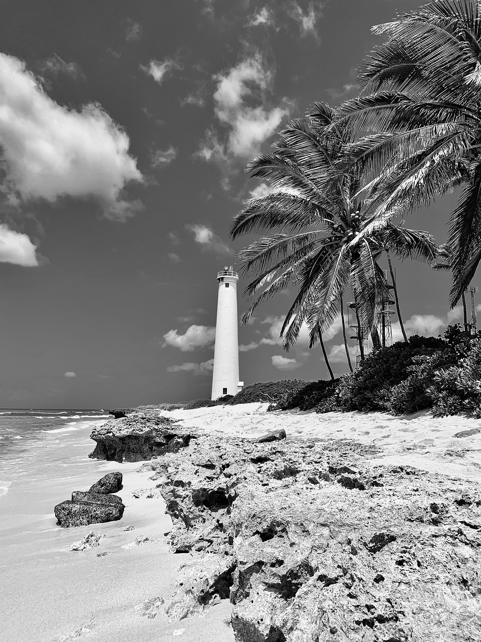 lighthouse  barbers point  palm trees free photo