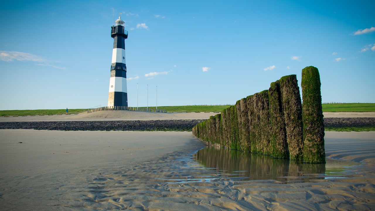lighthouse  breskens  sea free photo