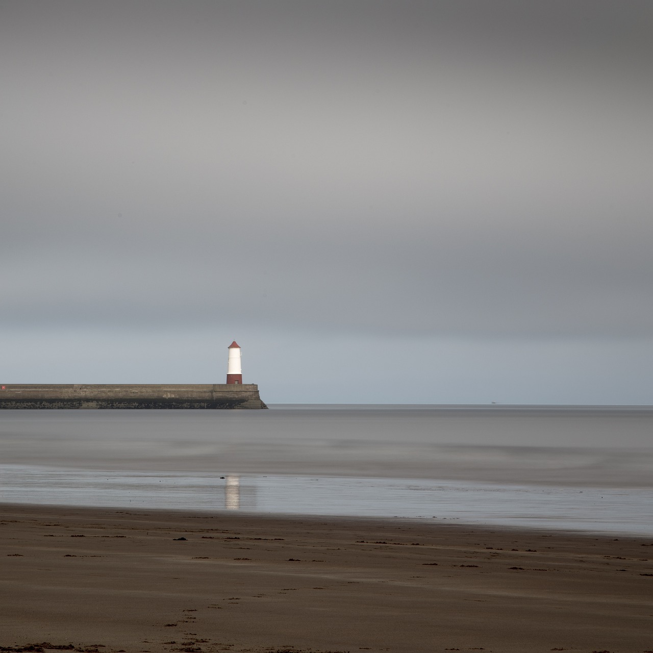 lighthouse  coast  sea free photo