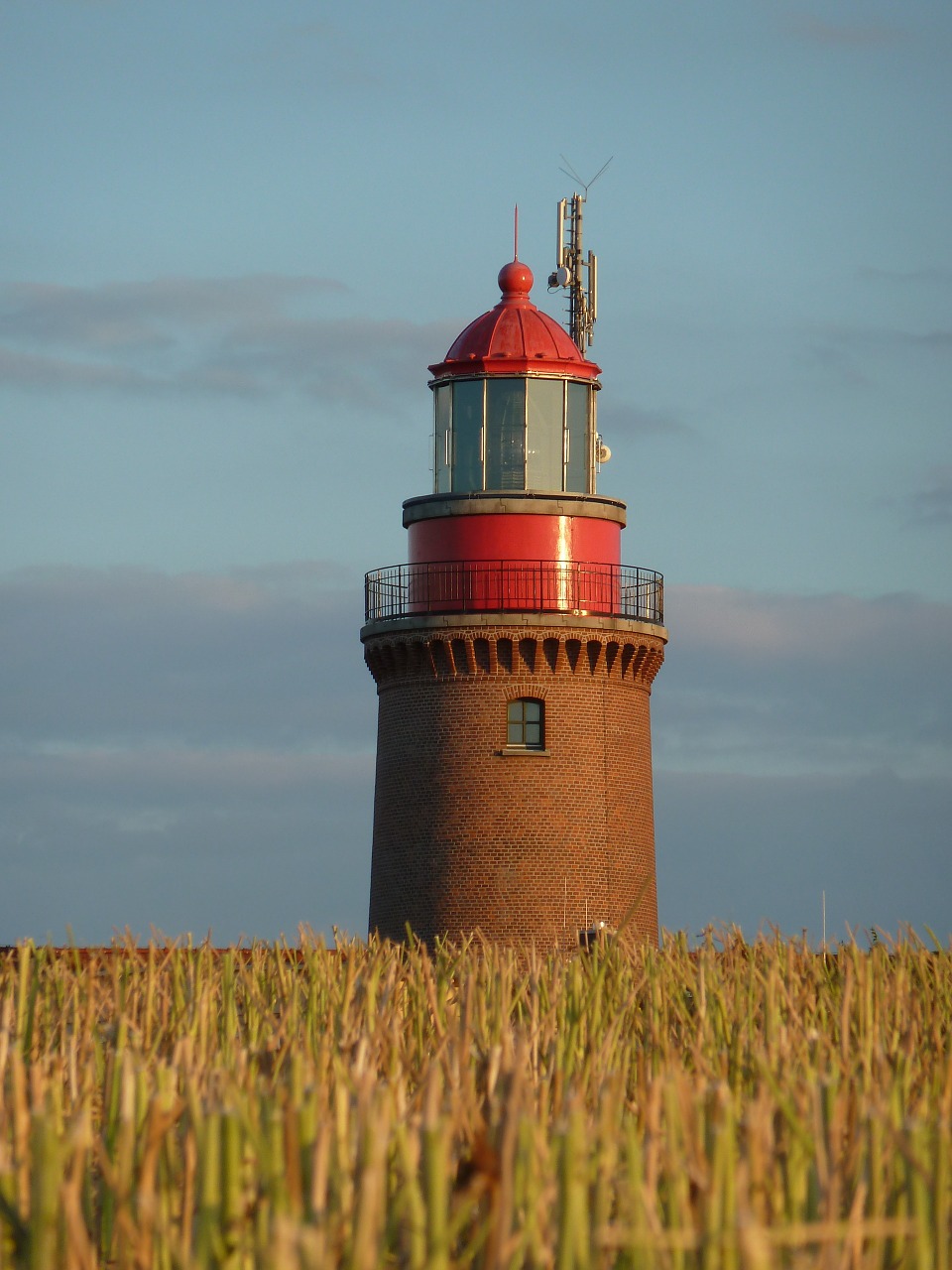 lighthouse bastorf cornfield free photo