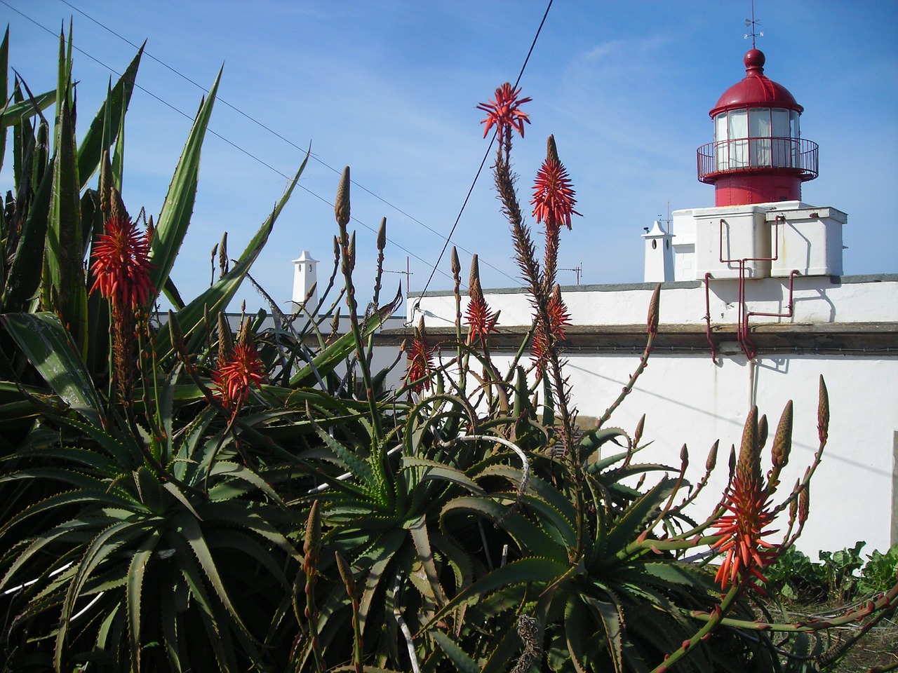 lighthouse madeira west coast free photo