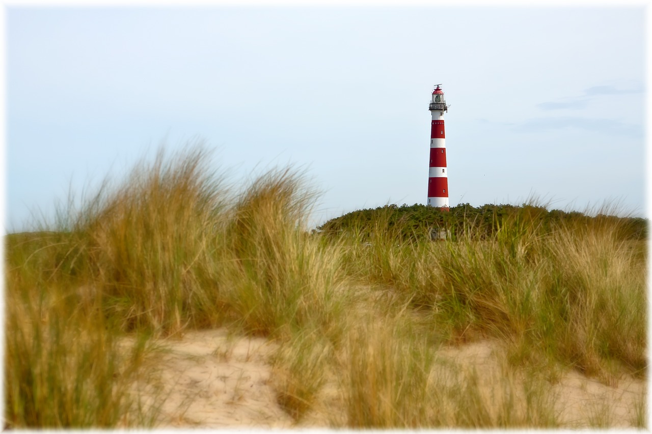 lighthouse beach dunes free photo