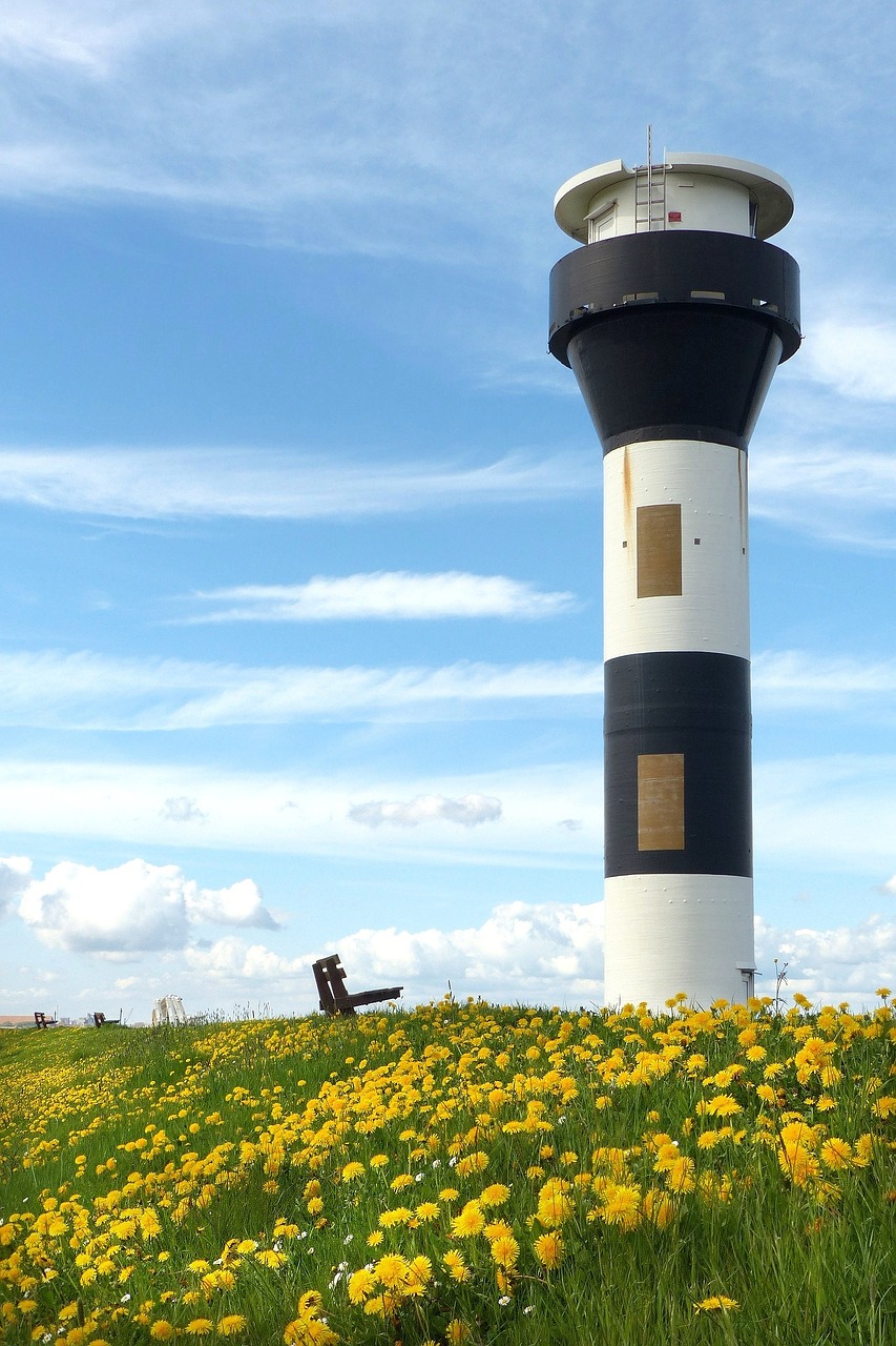 lighthouse black and white dandelion free photo