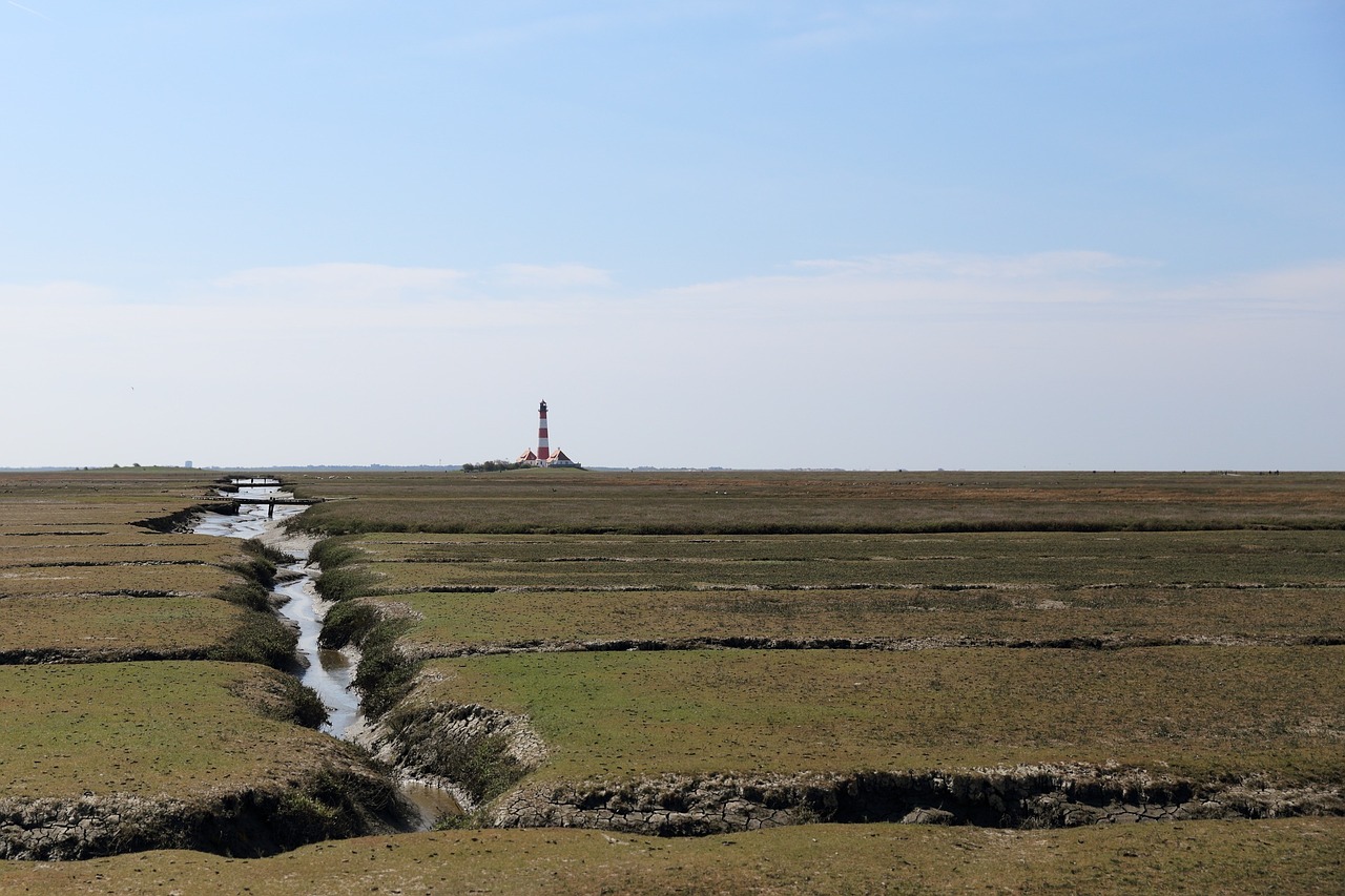 lighthouse westerhever salt meadow free photo