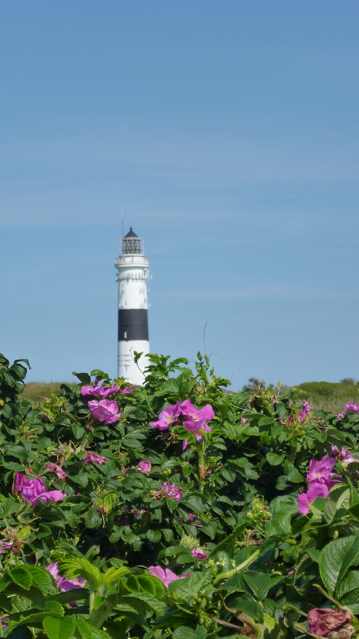 lighthouse north sea nordfriesland free photo