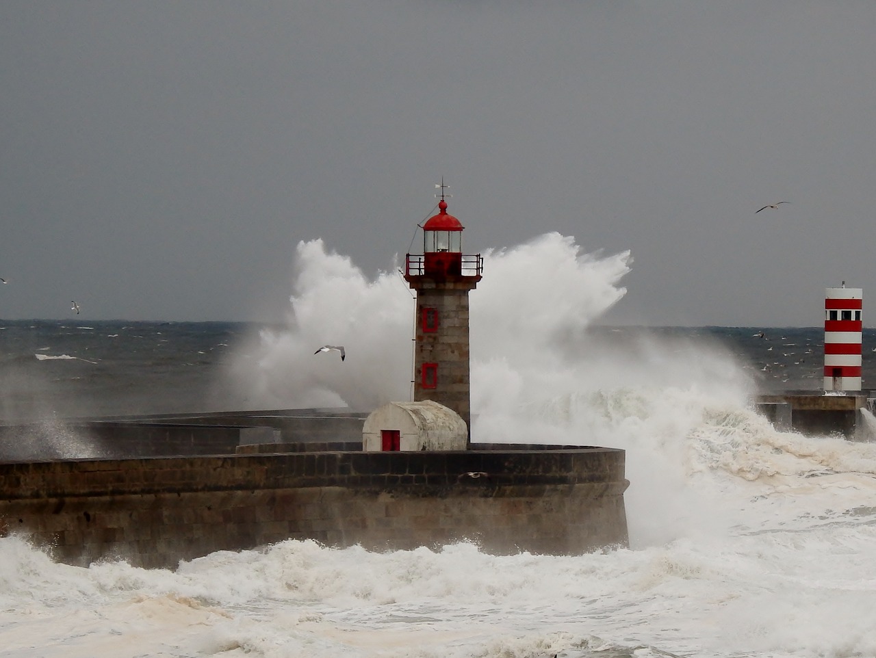 lighthouse porto portugal free photo