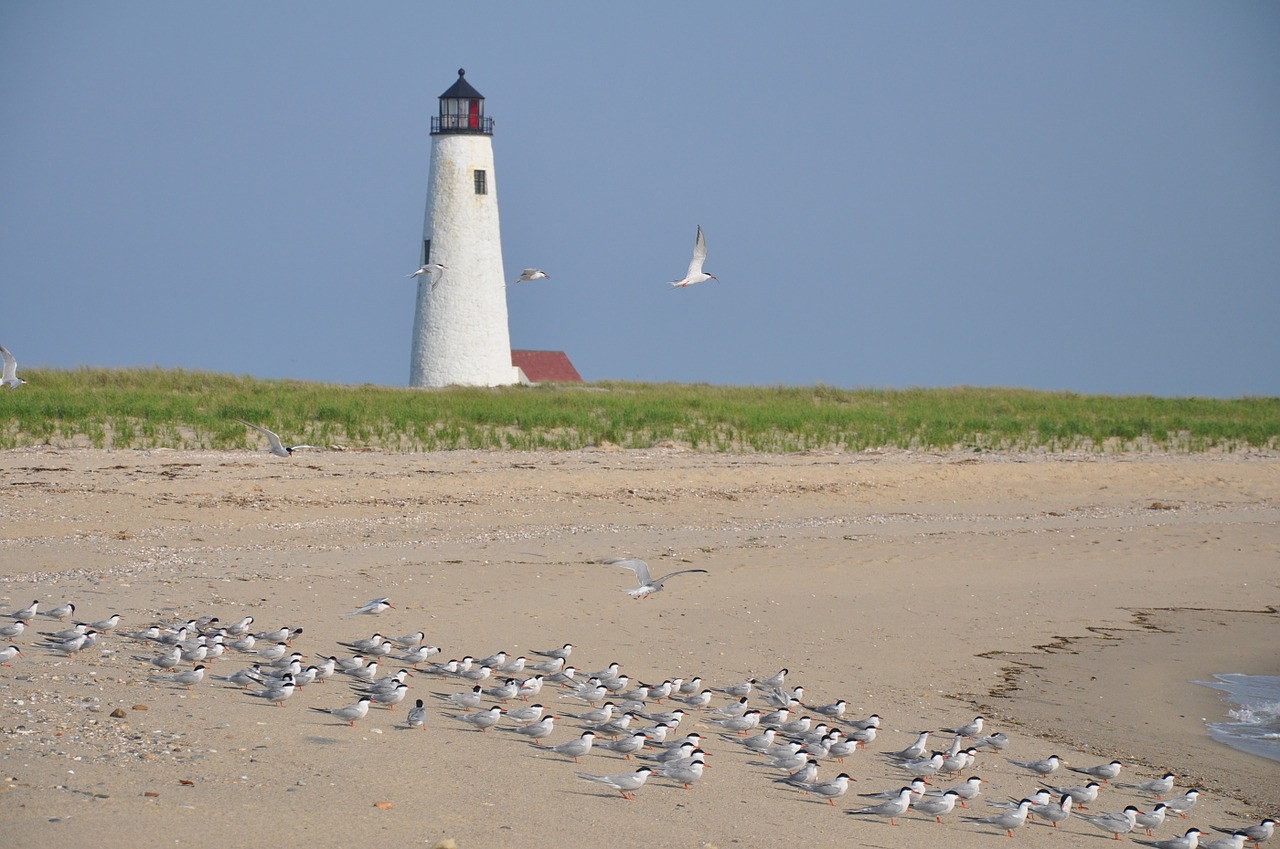 lighthouse nantucket wildlife refuge free photo