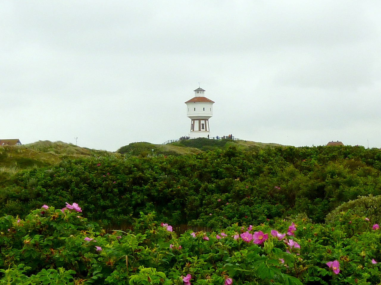 lighthouse friesland terrain free photo