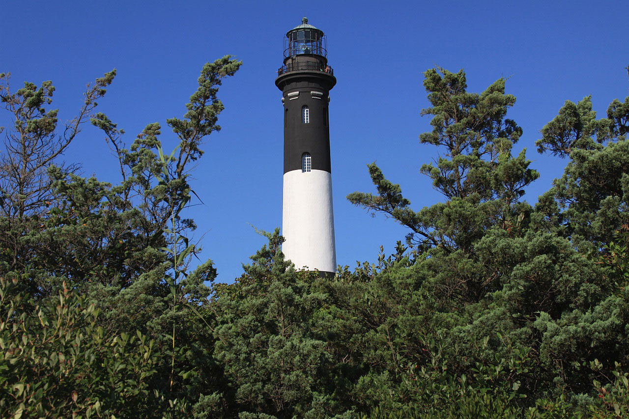 lighthouse tower tree free photo