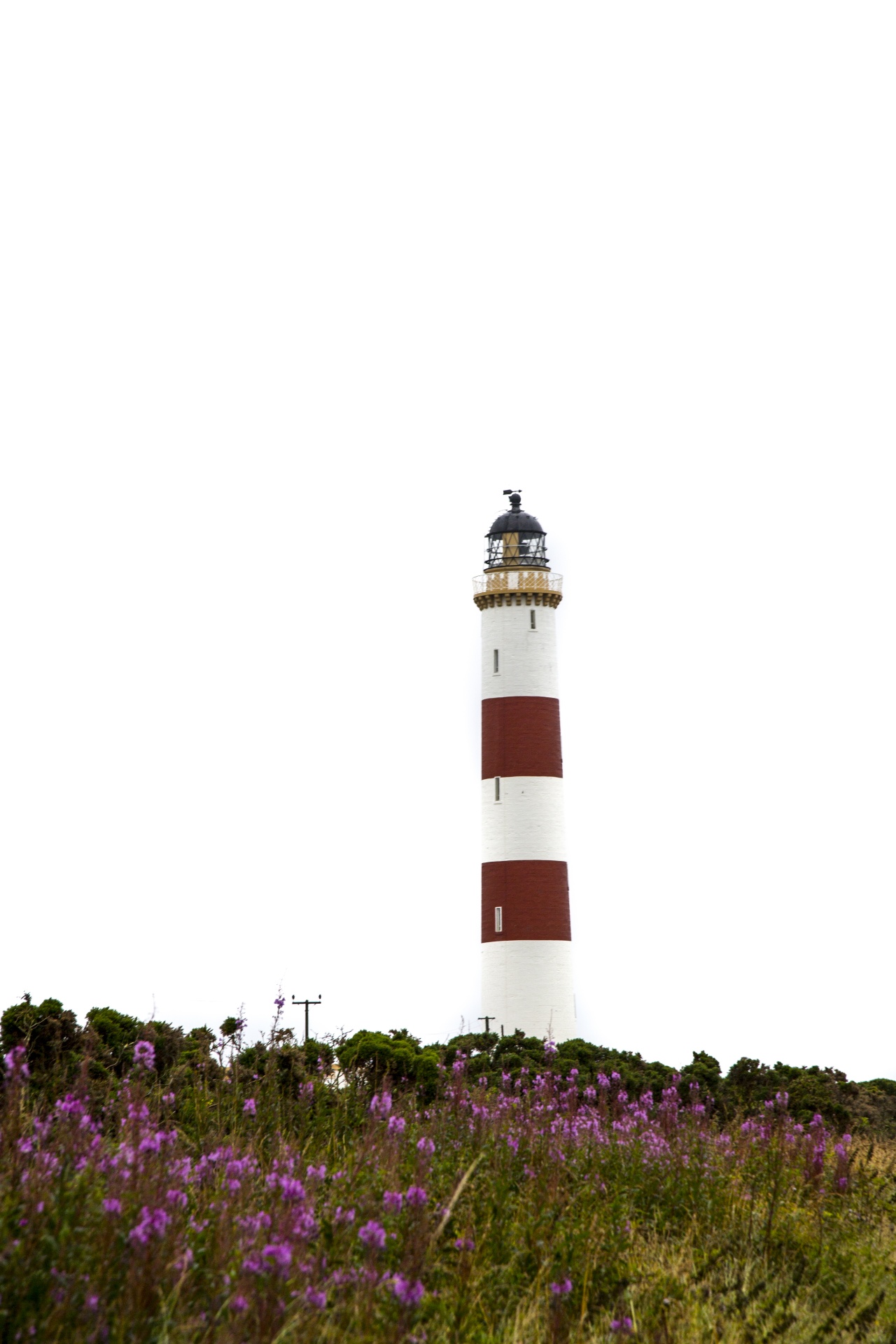 rocks view lighthouse free photo