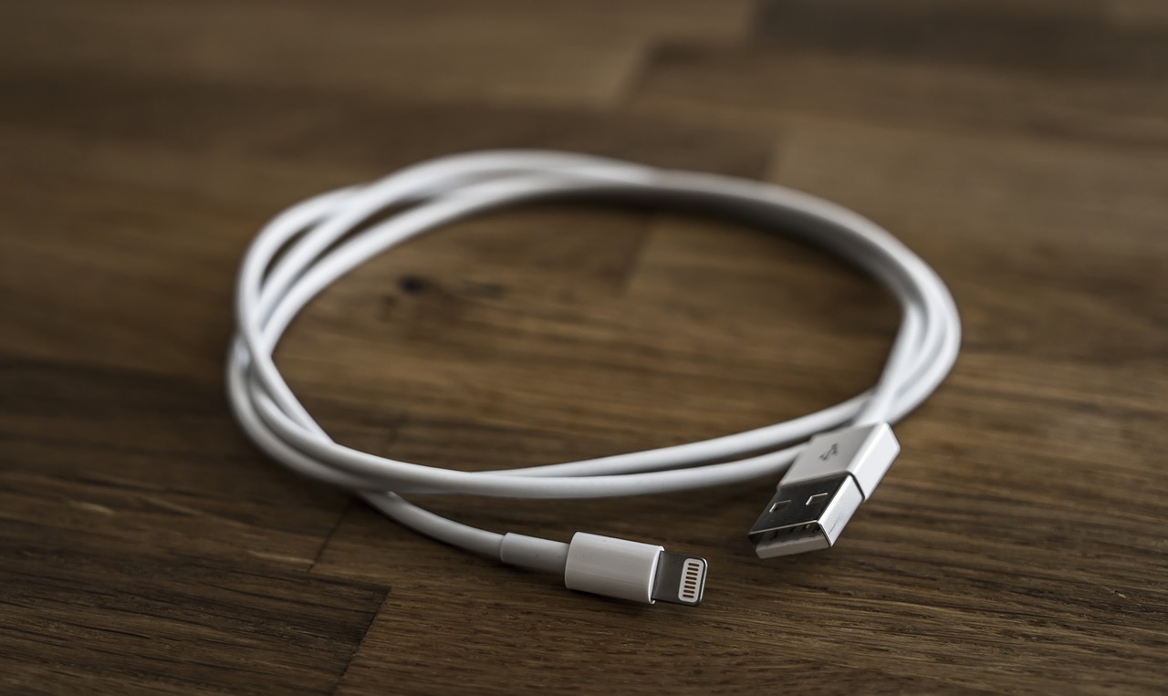 lightning cable usb free photo