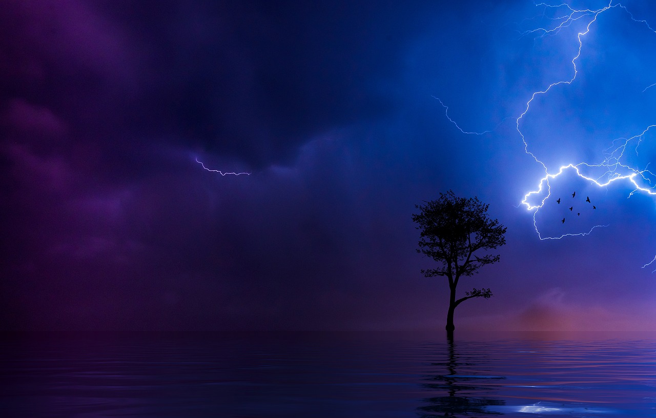 lightning  tree  silhouette free photo
