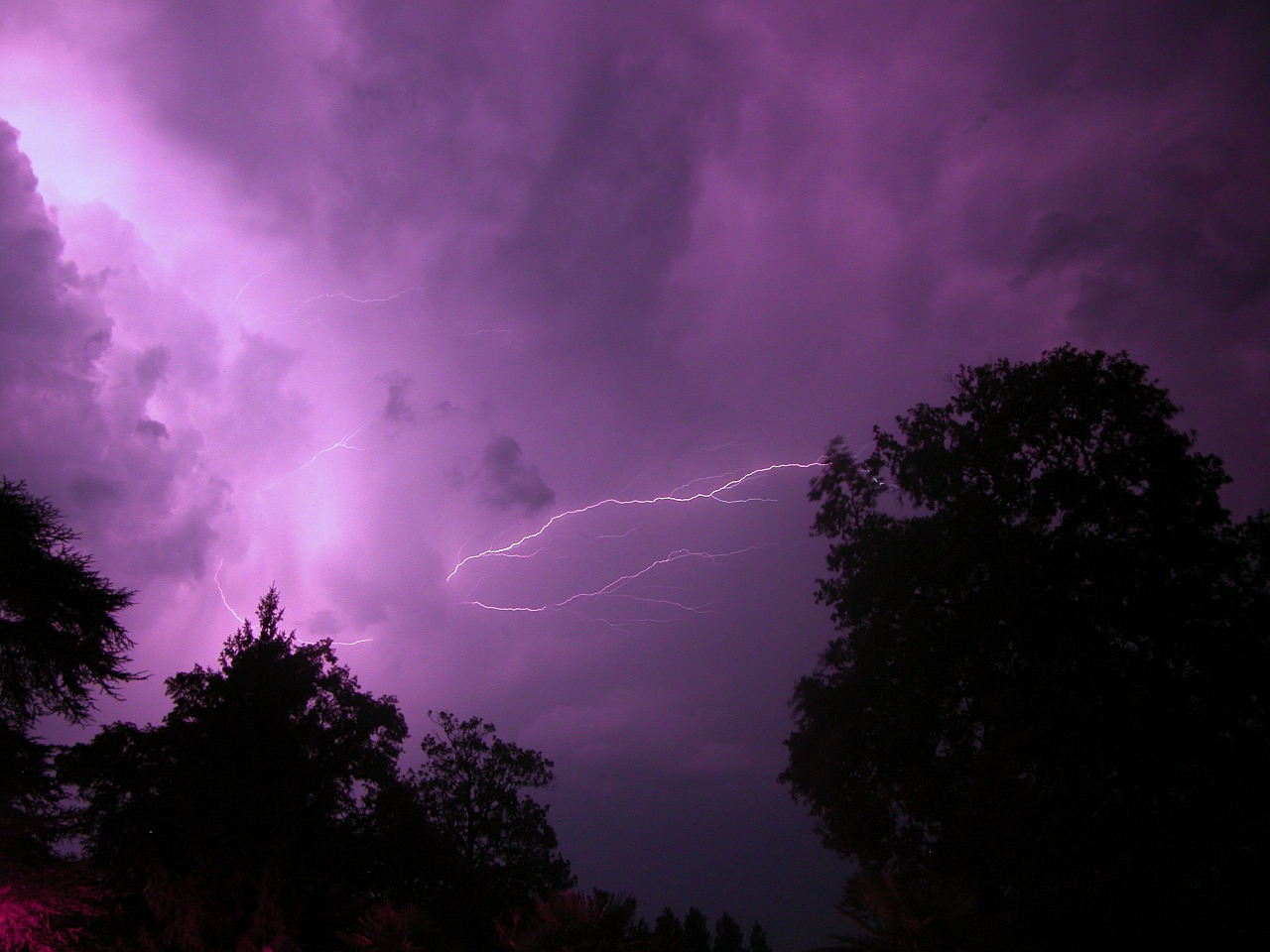lightning weather light storm free photo
