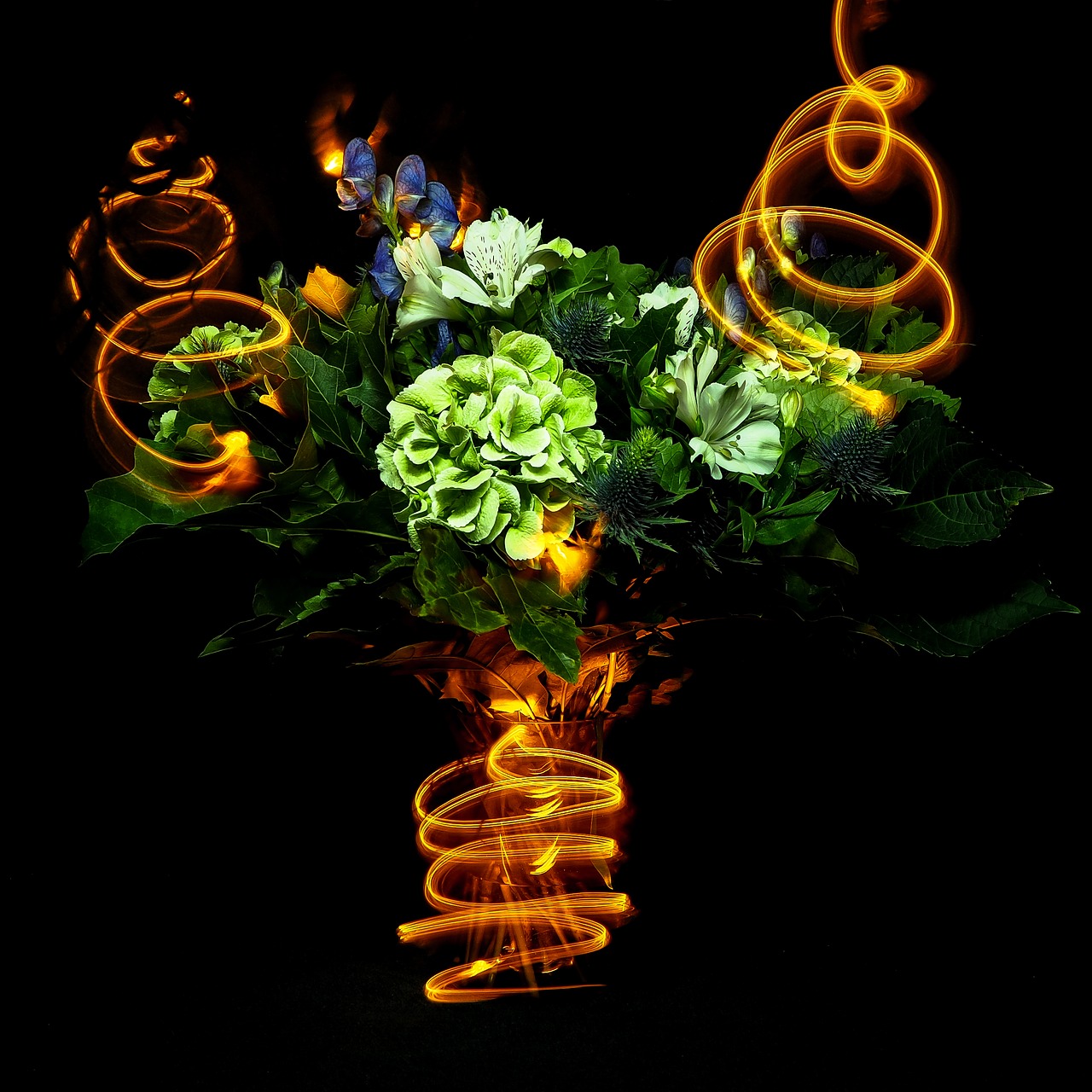 lightpainting flowers party free photo