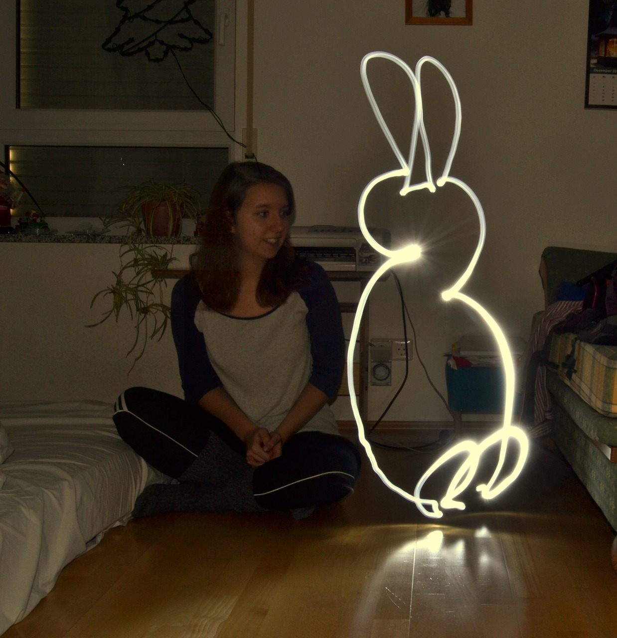 lightpainting hare light free photo