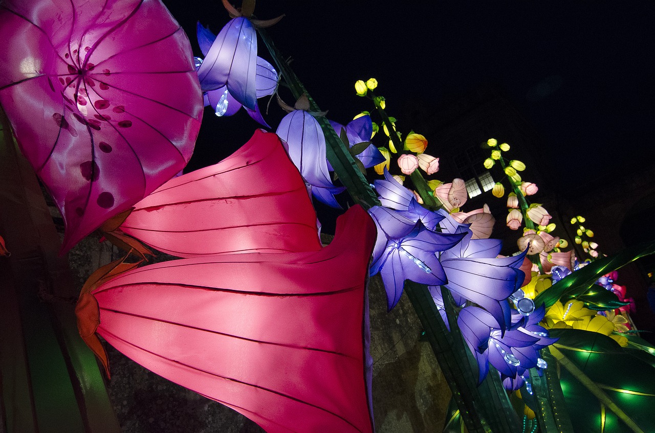 lights lanterns illuminated free photo