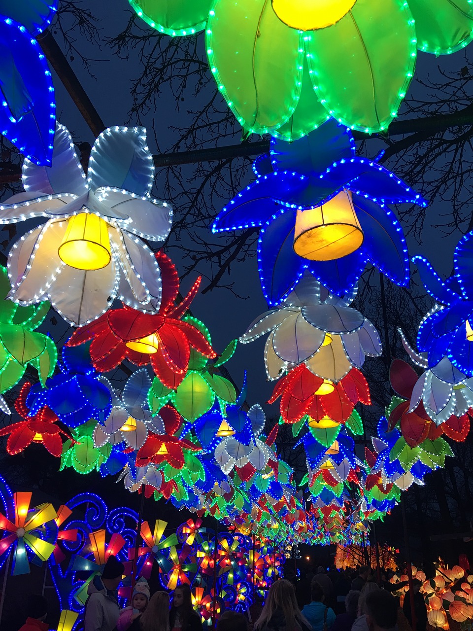 lights chinese festival free photo