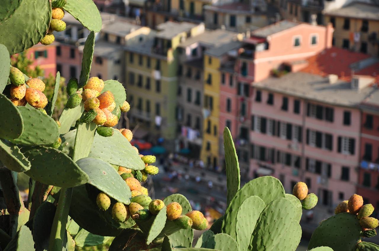 liguria  vernazza  travel free photo