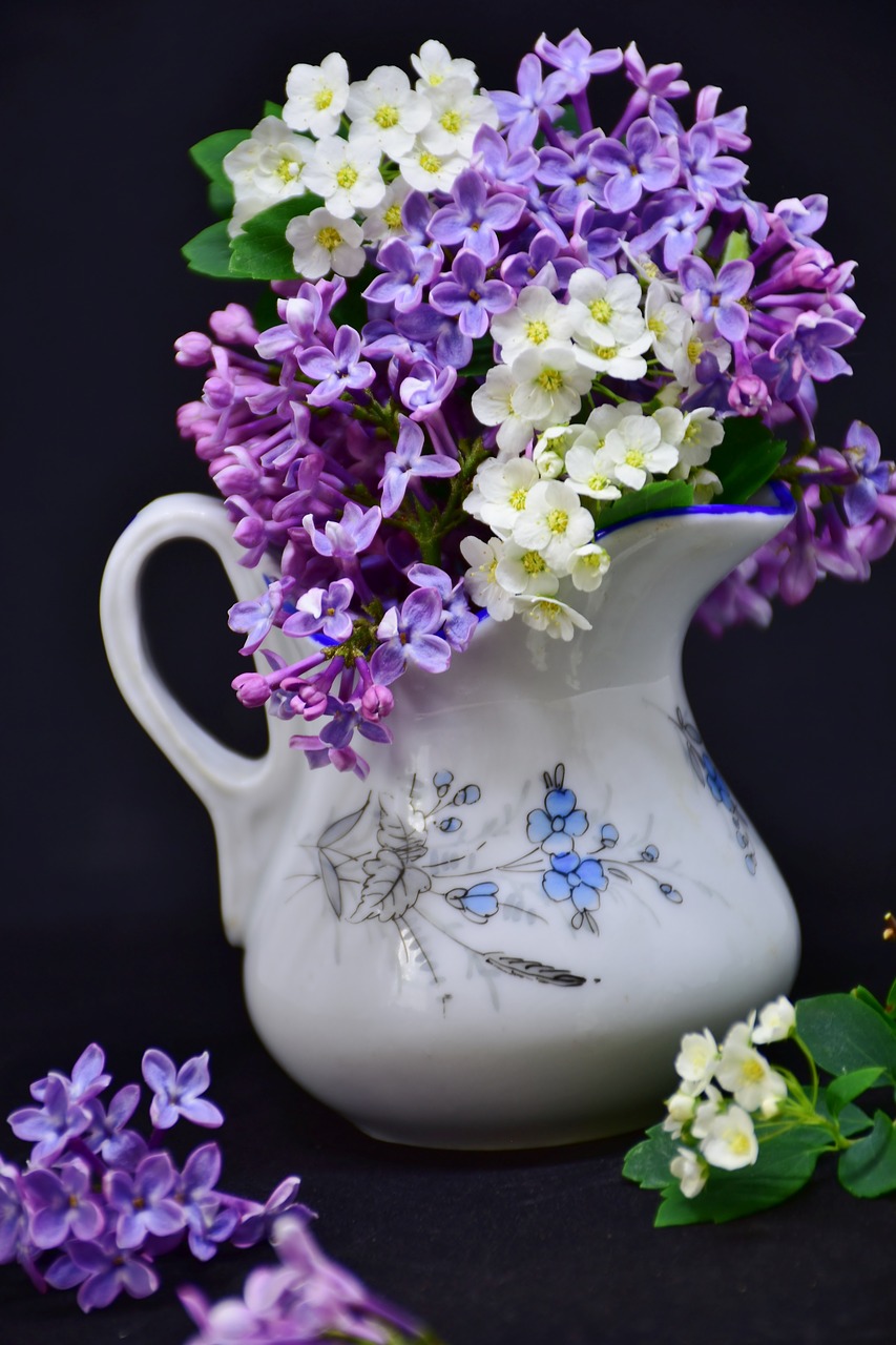 lilac  flowers  flower free photo
