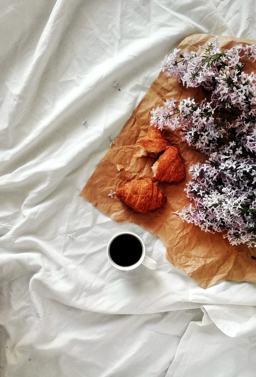 lilac  flowers  plants free photo