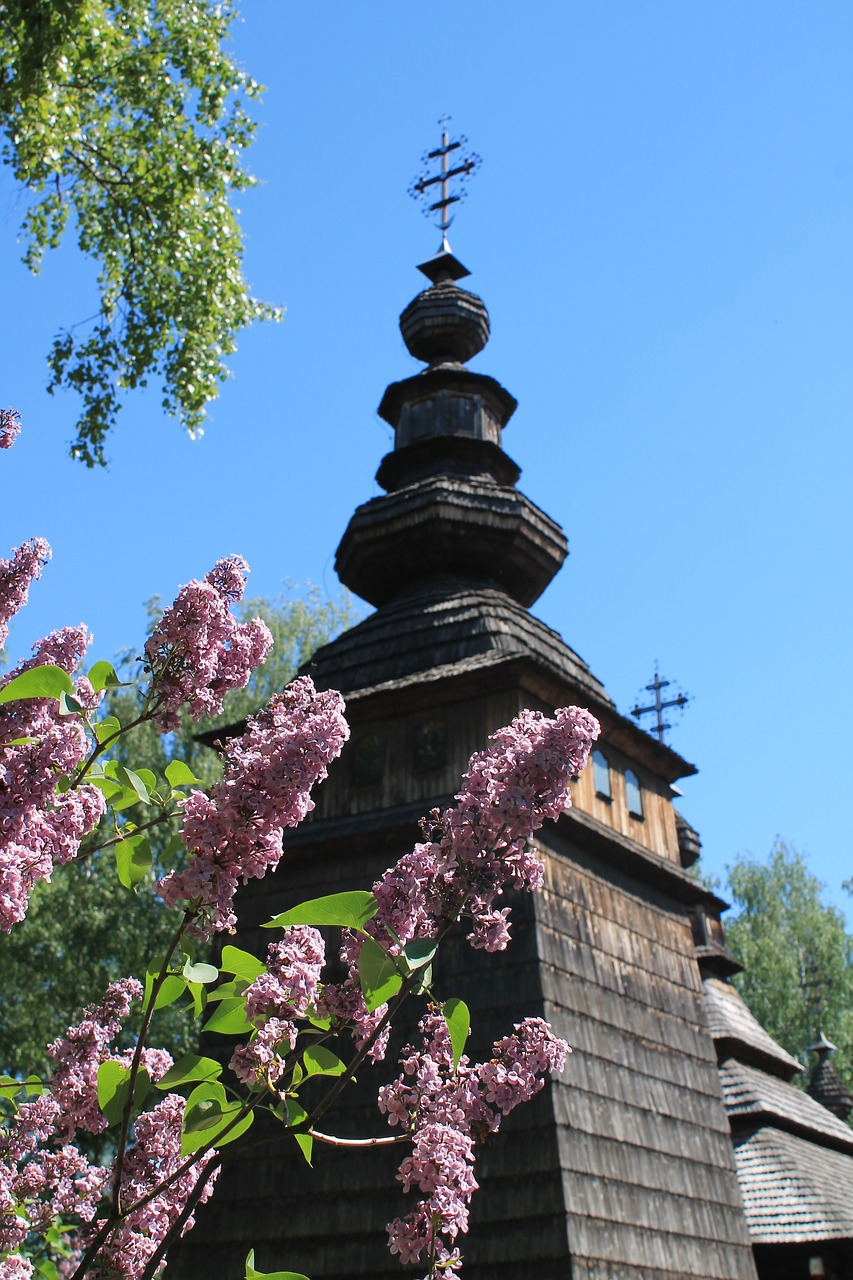 lilac  church  religion free photo