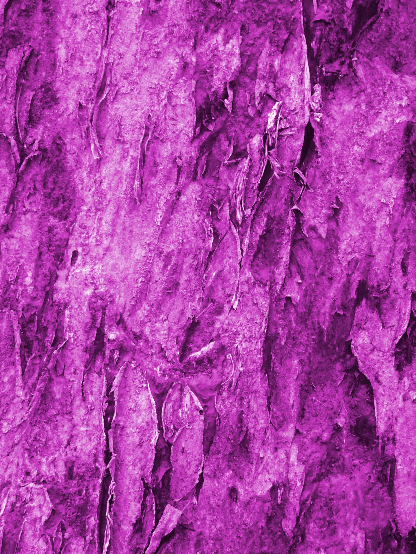 lilac backgrounds pattern free photo
