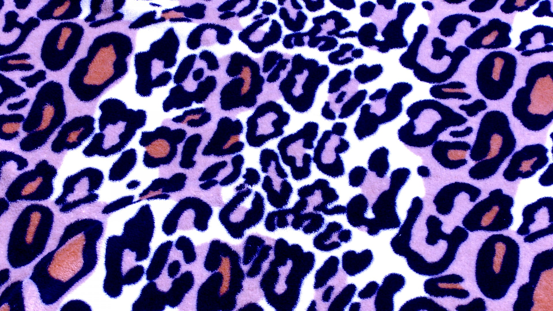 lilac leopard skin free photo