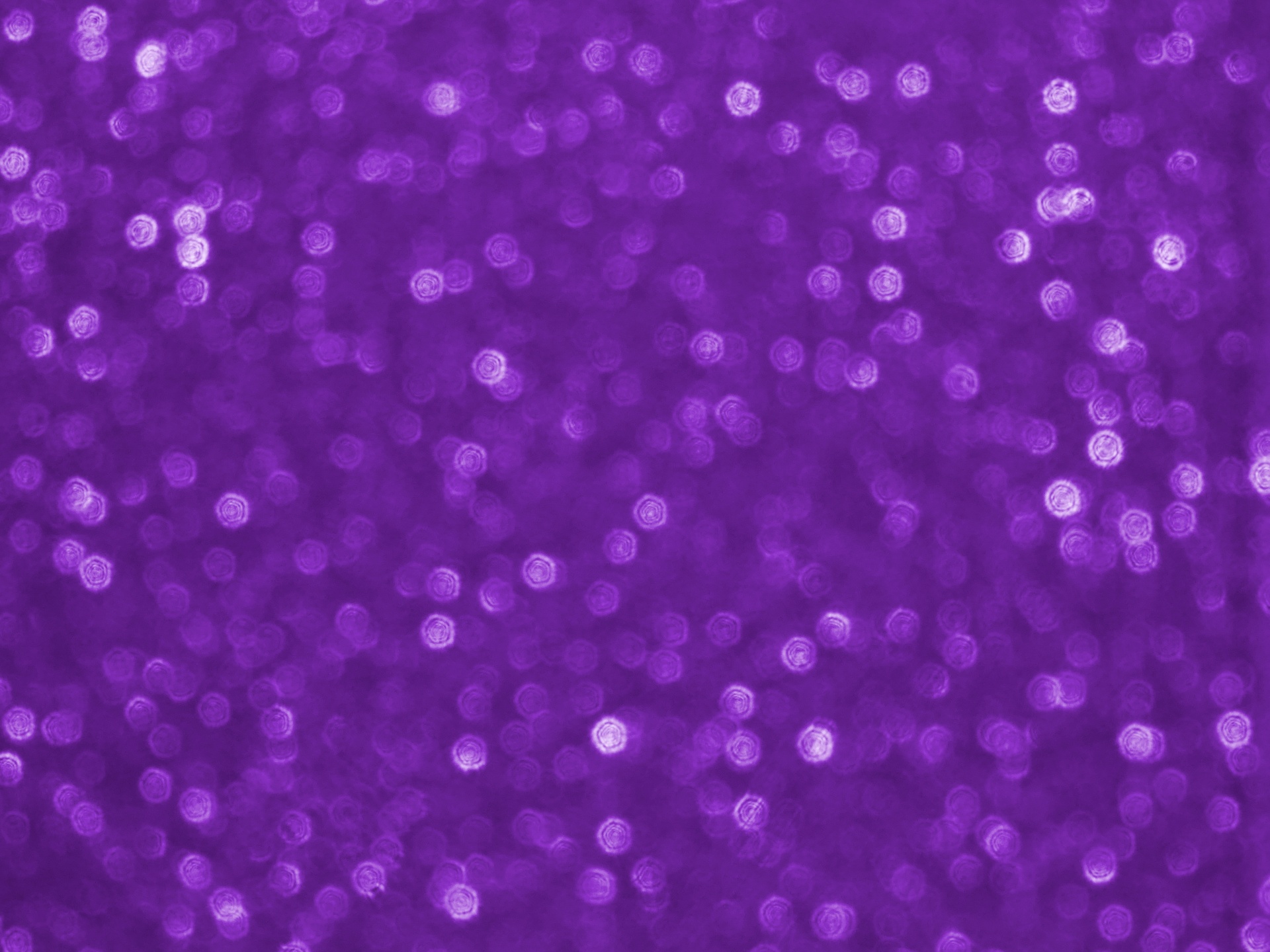 lilac purple backgrounds free photo