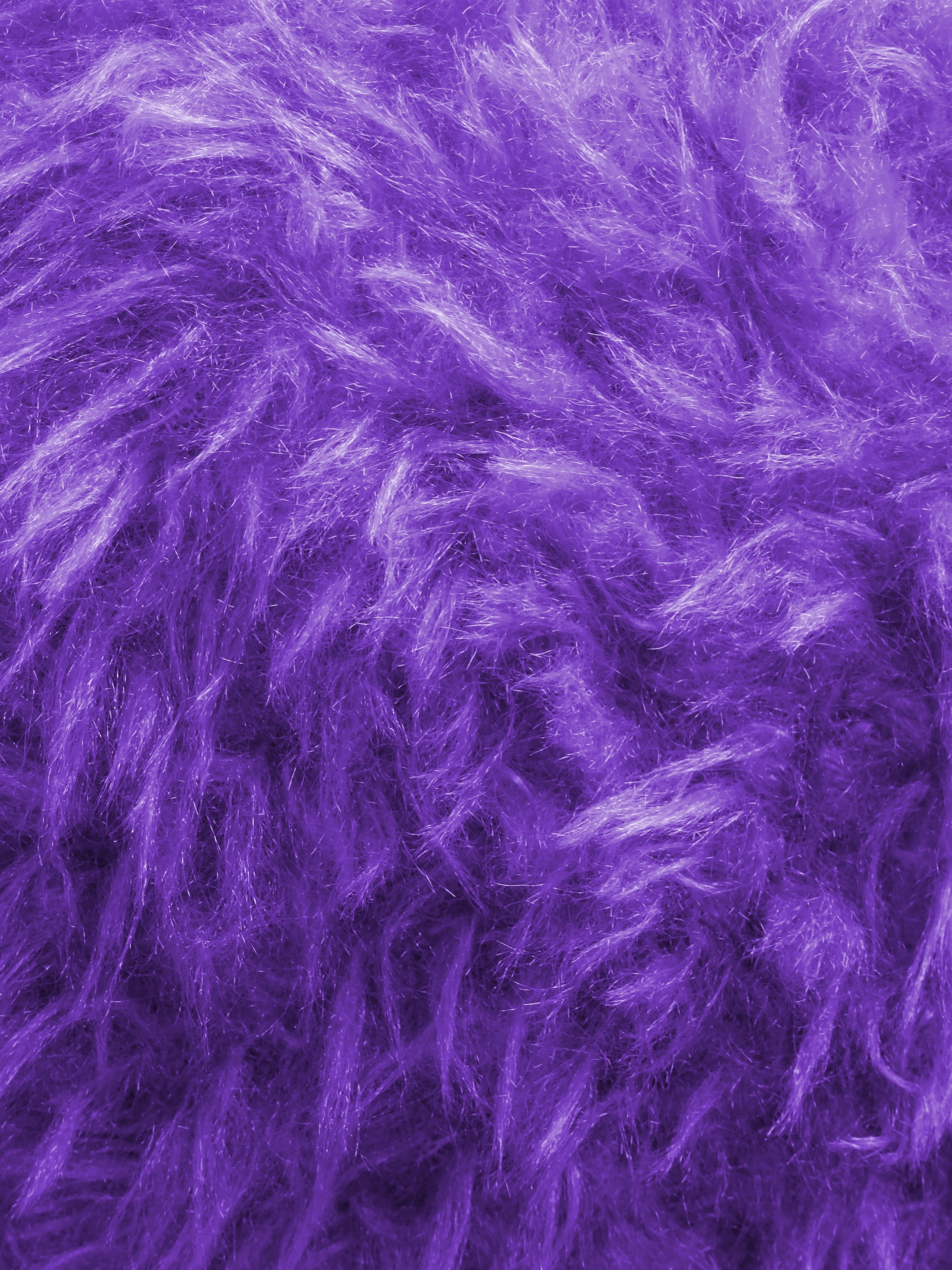 lilac purple backgrounds free photo
