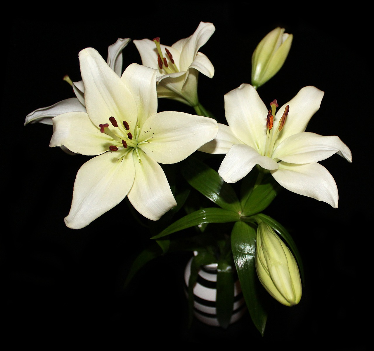 lilies flowers bouquet free photo