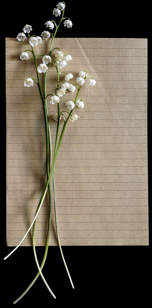 lilies of the valley vintage letter free photo