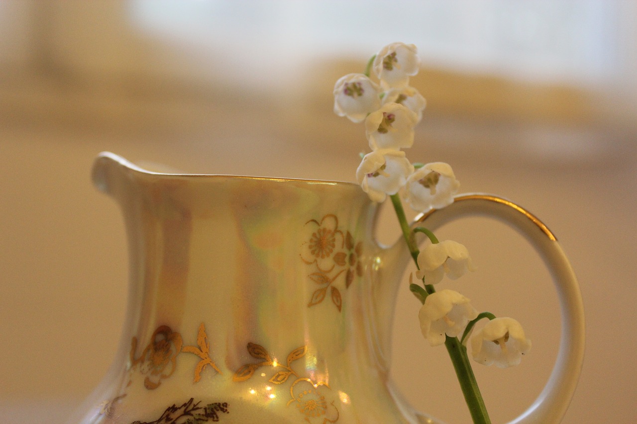 lilies of the valley lily of the valley tableware free photo