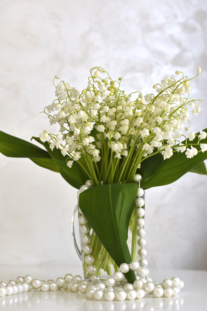 lilies of the valley  flowers  spring free photo