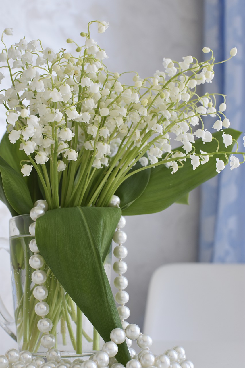 lilies of the valley  flowers  spring free photo