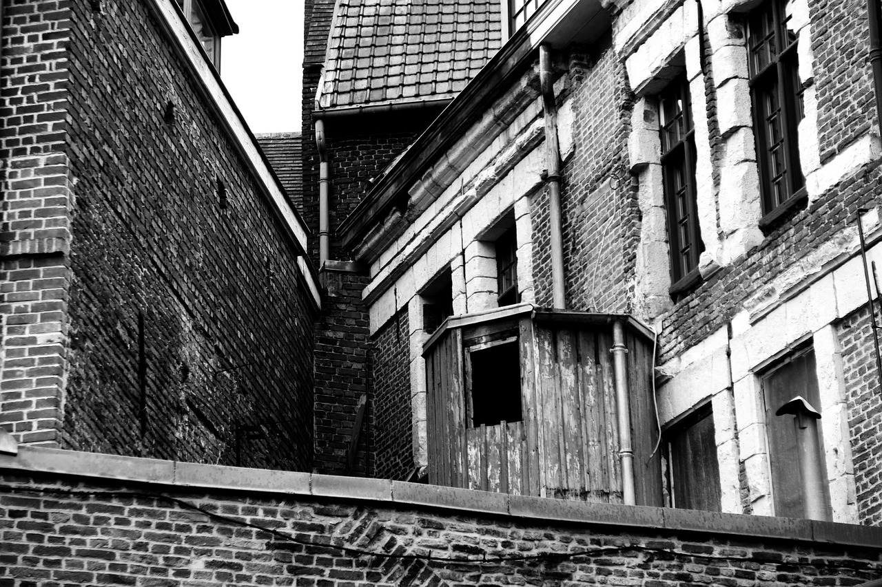 lille black and white city free photo