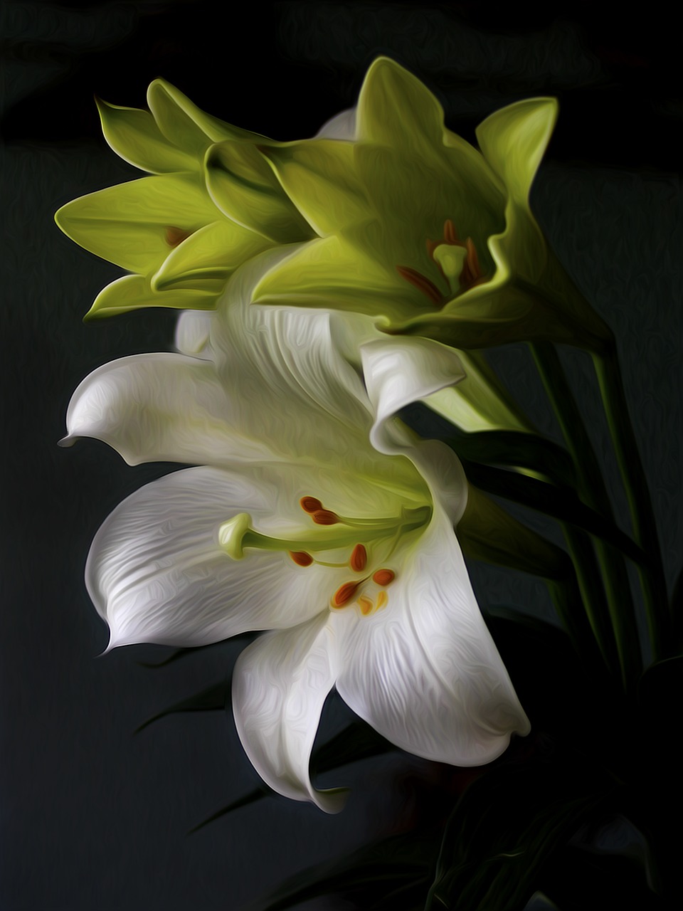 lily flower plant free photo