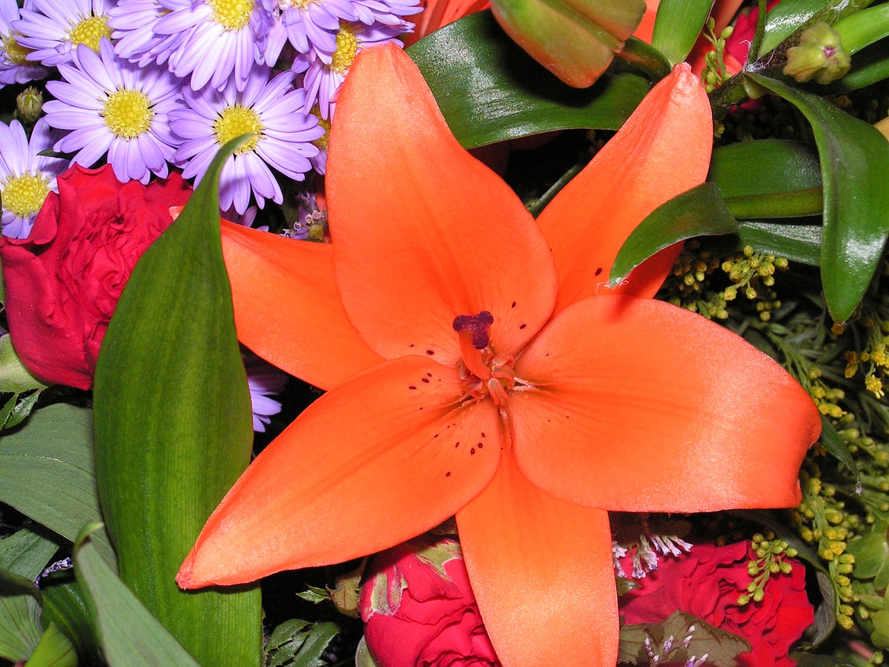 lily flower bouquet free photo