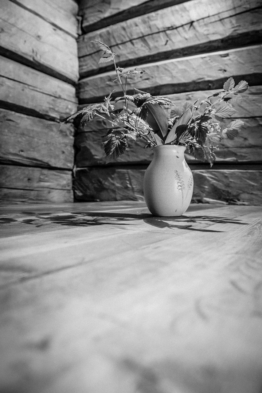 lily of the valley black and white wooden barn free photo